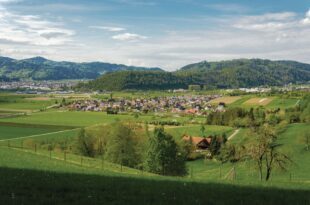 Gemeinschaft, Musik und Tradition