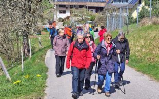 Senioren des Alpenvereins genießen Frühlingswanderung