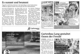 20260402-DB6-4-1.indd