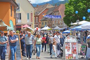 Zeller Maifest-Sonntag 2026 mit unterhaltsamem Programm 2026-5-12-ZE-hps-Zeller Maifest-DSC_1169