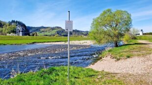 Schilder für den Flussregenpfeifer