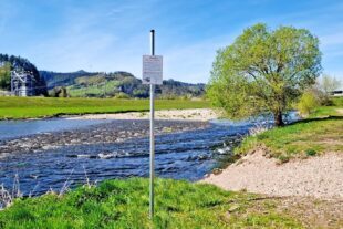 Schilder für den Flussregenpfeifer 2026-5-15-BI-Dieter Stückler-Flussregenpfeiffer-20260409_151629_2048_100p_biku