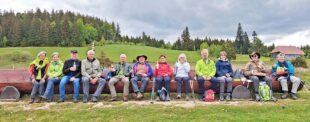 Schwarzwaldverein Biberach unternimmt Tour auf dem Säbelthoma-Weg zum Feldbergblick