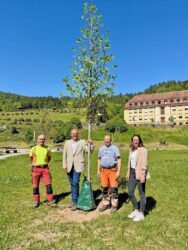 Mehr Grün für Nordrach