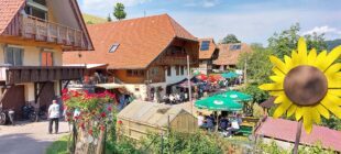 Brennhislitag 2026 – Wandern mit Hochgenuss von Hof zu Hof