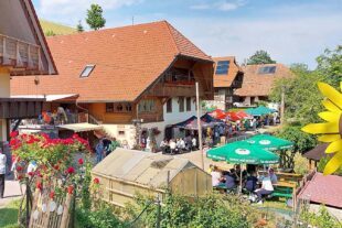 Brennhislitag 2026 – Wandern mit Hochgenuss von Hof zu Hof 2026-5-29-NO- von 2023-6-14-NO-mnb- Nachbericht Brennhislitag Eine wahre Genußmeile boten der Haashof und Fam. Scholl