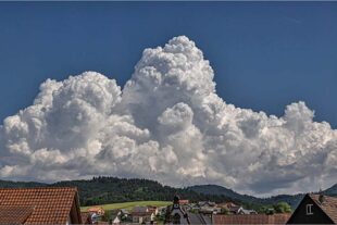 2026-5-29-OH-Robert Schwendemann Wolke 226A0051-Bearbeitet