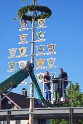 Koordinierte Muskelkraft brachte den Maibaum in die Senkrechte
