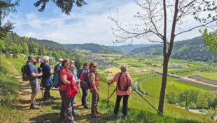 Über den Gemsbühl