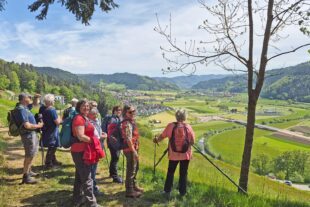 Über den Gemsbühl 2026-5-4-ZE-Verein-Schwarzwaldverein Zell-20260426_Panoramaweg 4.jpg