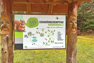 Neuer Eichhörnchen-Pfad lädt Familien ins Herrenholz ein 2026-5-8-ZE-Stadtmarketing- Eichhörnchenpfad_Schild