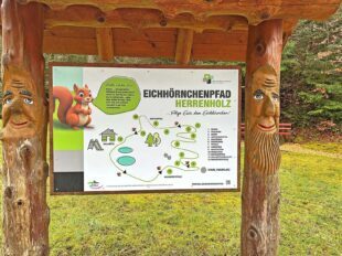 Neuer Eichhörnchen-Pfad lädt Familien ins Herrenholz ein