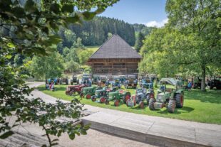Oldtimer-Traktoren vor historischer Kulisse