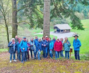 Dienstagswanderer erkunden den Wald am Herrenholz