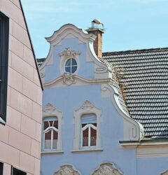 Logenplatz für die Storchen-Show